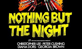 Только ночь