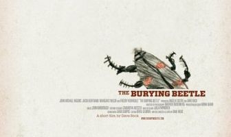 The Burying Beetle
