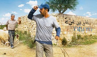 Перелетные свиньи