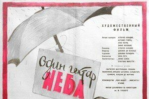 Один гектар неба