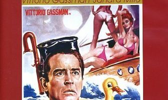 Летнее безумие