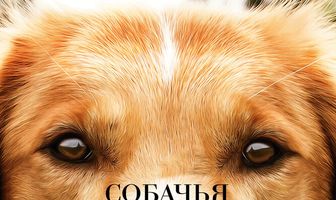 Собачья жизнь