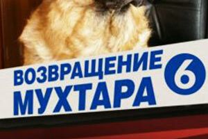 Возвращение Мухтара 6