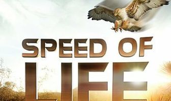 Discovery: Скорость жизни