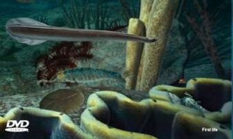 BBC: Истоки жизни