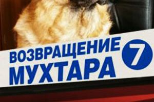 Возвращение Мухтара 7