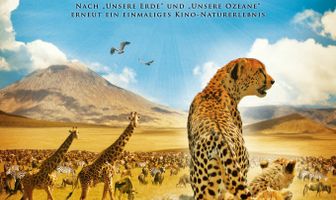 Национальный парк Серенгети