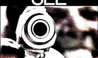 Пистолет (с 6 до 7-30 вечера)