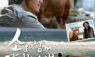 Как путешествовать с быком