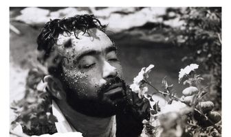 Совиный ручей