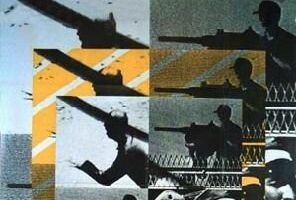 Les yeux des oiseaux