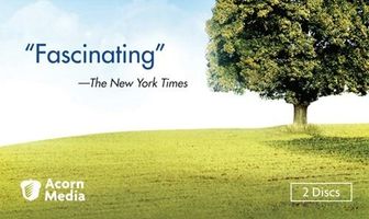 Родословная семьи