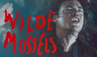 Дикие мидии