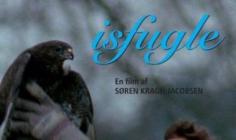 Ледяные птицы