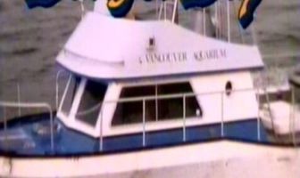 Опасный залив