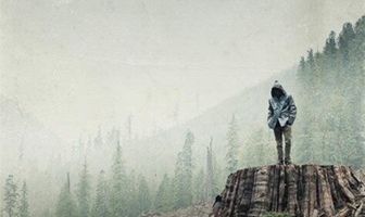 Если дерево упадет
