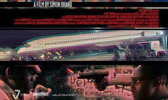 Провинность