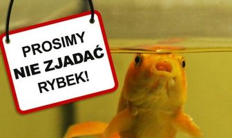 Хель