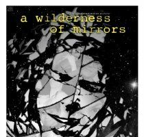 A Wilderness of Mirrors