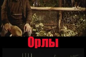 Орлы