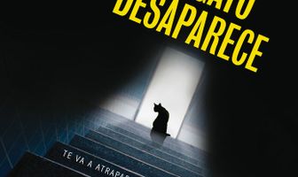 Кот исчезает