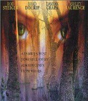 Кипарисовая ветка