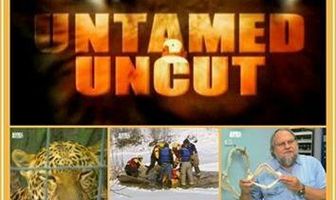 Дикие и опасные