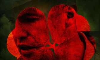 Красный клевер