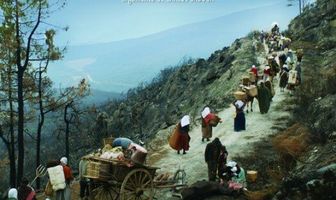 Линии Веллингтона