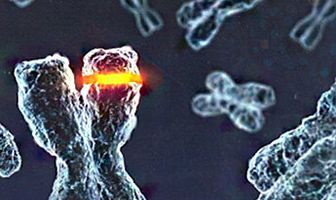 Discovery: 100 великих открытий