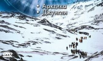 BBC: Планета людей
