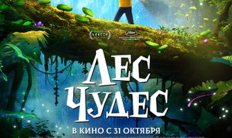 Лес чудес