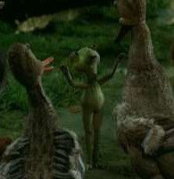 История любви одной лягушки