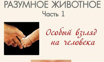 BBC: Человек – разумное животное