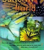Butterfly World