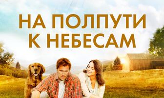 На полпути к небесам