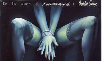 Дикая орхидея 2: Два оттенка грусти