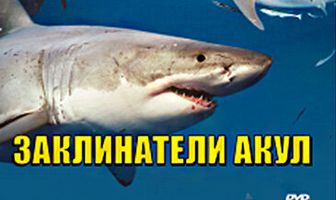 Discovery: Заклинатели акул