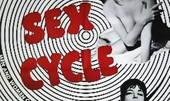 The Sex Cycle
