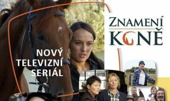 Порода лошадей