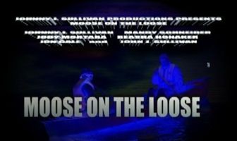Moose on the Loose