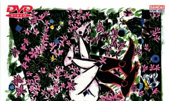 Любовь Набби