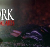 New York Mixed Martial Arts