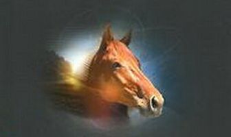 Язык животных