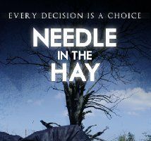 Needle in the Hay