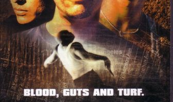 Дорожные псы