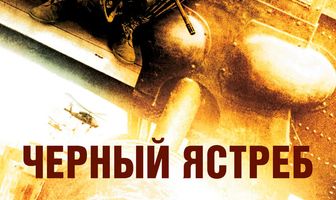 Чёрный ястреб