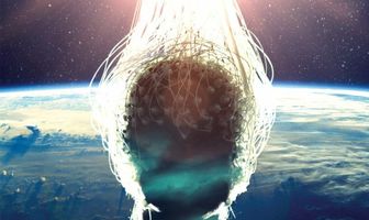 Anima