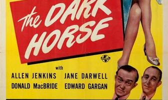 Тёмная лошадка