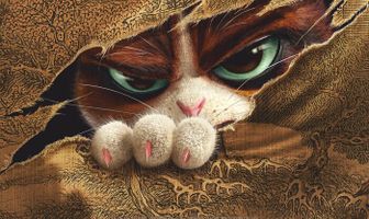 Кунг-фу кот